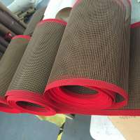 PTFE Coated Glass Fabric  mesh belts